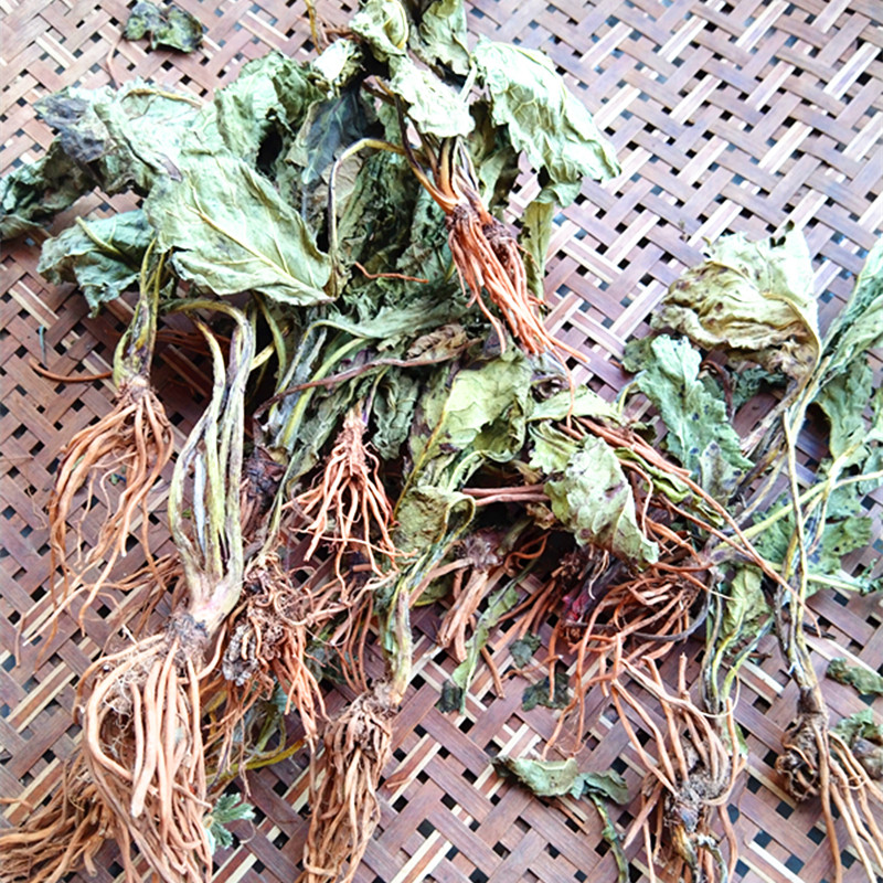 贵州天青地红中药材 野青菜菊三七大红青菜中草药菊三七干货500克