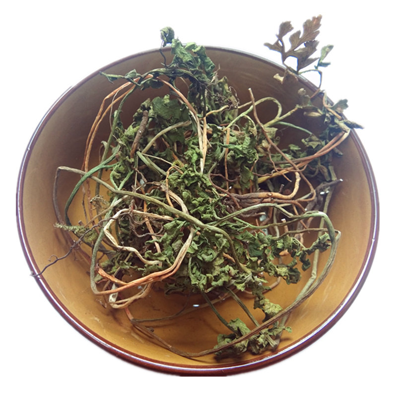 贵州山货小春花 中草药一朵云阴地蕨冬生草郎萁细辛散装干货500克