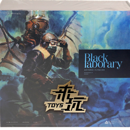 现货B13 Black13 Park 暗夜空降组 1/6 麻雀 可动潮流兵人