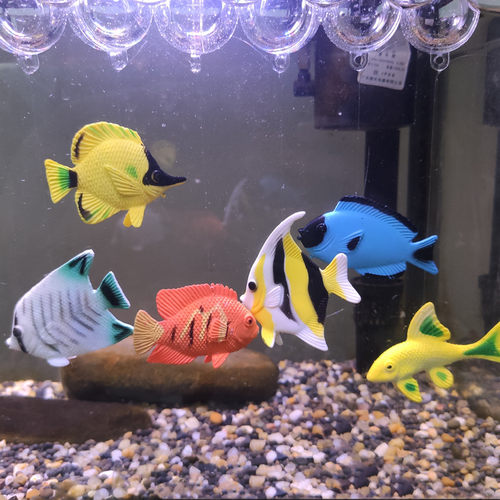 飞乐琪塑胶悬浮热带鱼