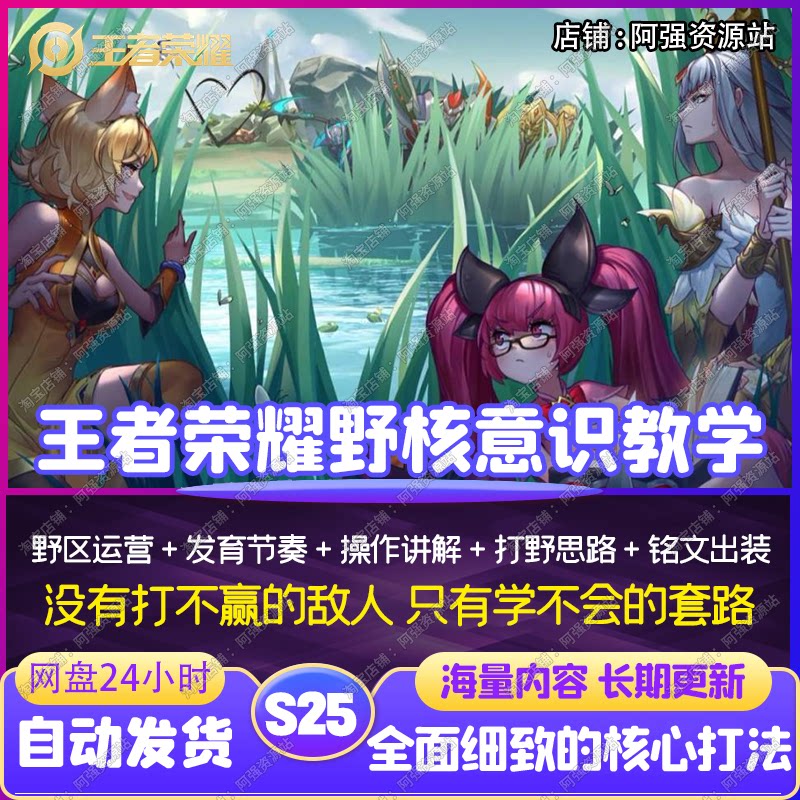 王者荣耀打野意识教学国服思路抓人野区对抗发育节奏王者课程教程