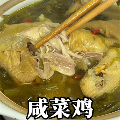 温州特色菜肴咸菜鸡快手菜鸡肉半成品菜加热即食方便菜户外半只