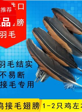 斗鸡 斗鸡训练用品 斗鸡翅膀羽毛 斗鸡接毛补毛斗鸡翅膀 斗鸡羽毛