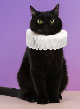 时尚宠物猫咪拉夫领cosplay摄影拍照道具可爱猫咪假领子拍照道具