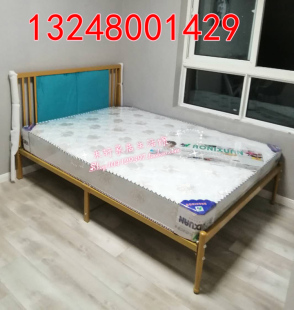 新款 轻奢铁艺床1.5米双人床软靠背铁架床出租房公寓床简约 特价