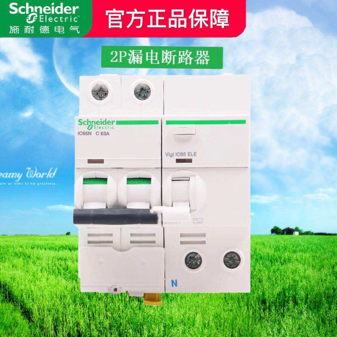施耐德小型63a带漏电保护器