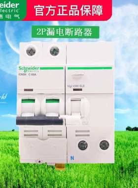 施耐德空气开关2P断路器IC65N-2P小型带漏电保护器VIGI 40安63A