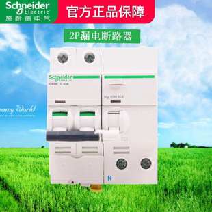 施耐德空气开关2P断路器IC65N 40安63A 2P小型带漏电保护器VIGI