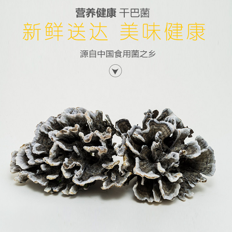 现货云南特产野生新鲜干巴菌500g 非新鲜鸡枞菌 松茸菌 顺丰包邮