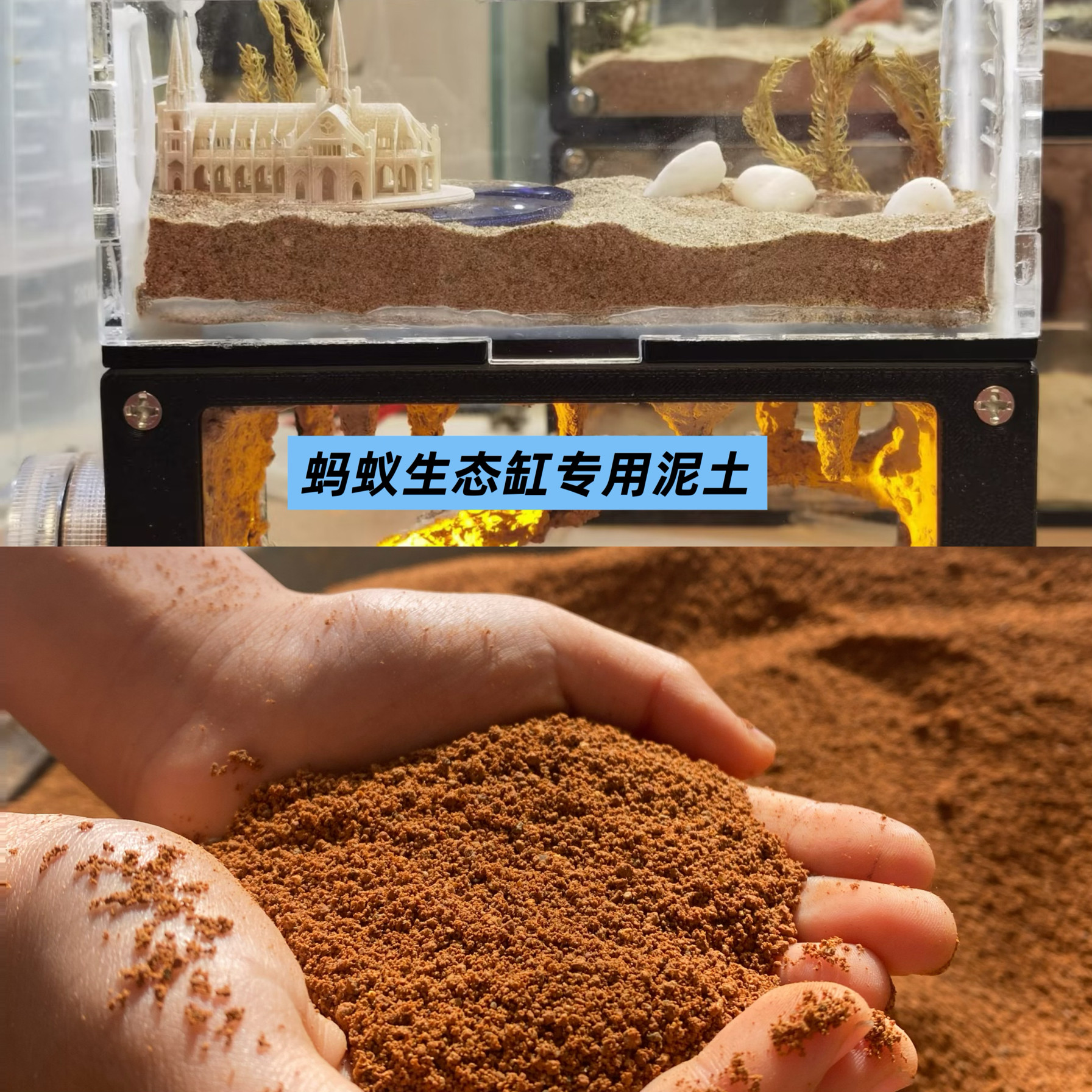 蚂蚁别墅蚂蚁巢蚂蚁生态缸专用土蚂蚁生态缸专用黄泥土屋造景