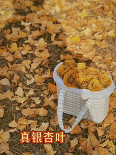 秋天里的魔法帽巫师帽真银杏叶子手工Diy 落叶帽银杏叶伞当日采摘