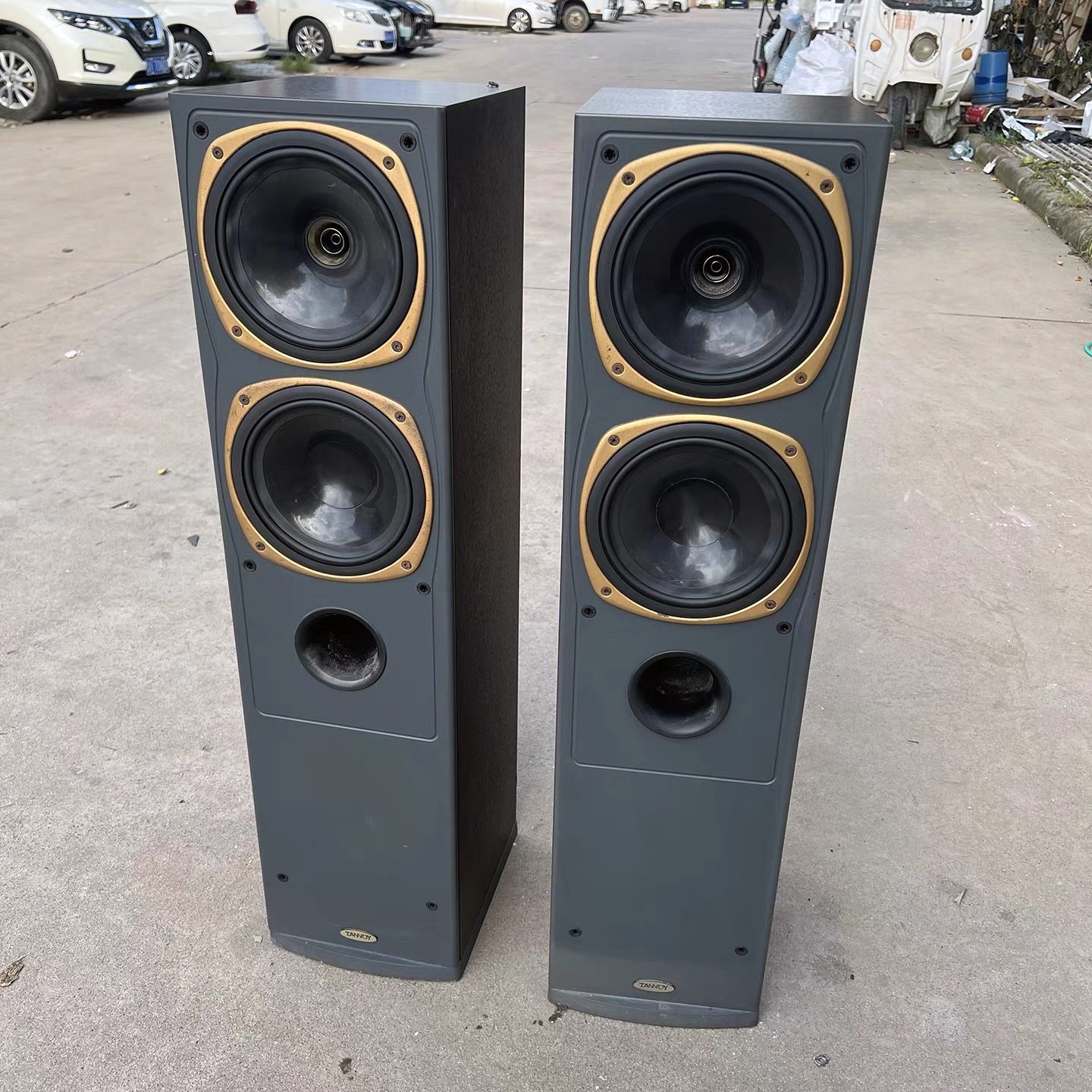 二手原装进口英国天朗S8发烧8寸同轴落地音箱家用的HIFI无源音响