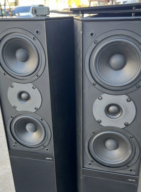 二手原装进口丹麦尊宝箱D590旗舰发烧8寸的落地音箱家用HIFI音响