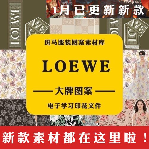LOEWE罗意威大牌奢侈品国际品牌源文件矢量图案素材PSD学习参考AI