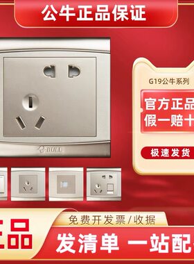 公牛开关插座暗装香槟金色g19墙壁铝镁合金拉丝家用墙式面板带usb