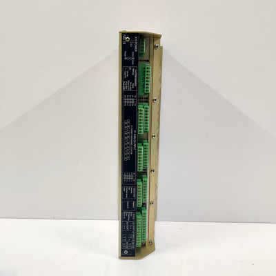 康士伯 RAI-16 部件编号:8100148 远程分析输入模块 REV.D6