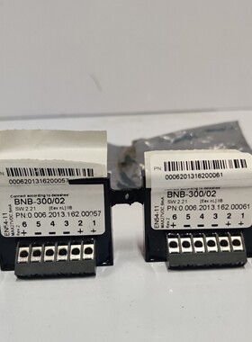 AUTRONICA 116-BNB-300/02 接口模块 批量 2 件
