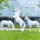 饰品 园林景观仿真玻璃钢骏马雕塑户外小区草坪动物模型摆件马场装