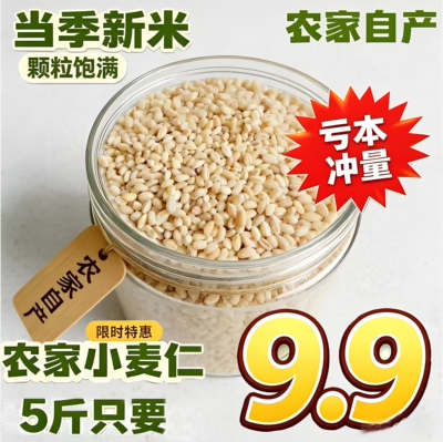 河南小麦仁米去皮新小麦小麦仁煮粥小麦粒农家脱皮麦仁米杂粮脱壳
