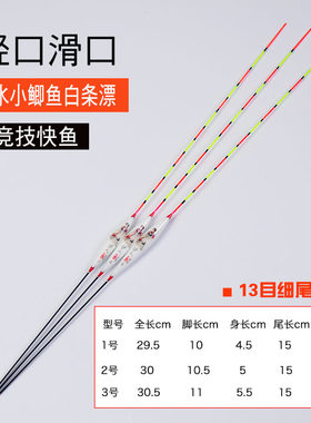 小鲫鱼野钓高灵敏纳米浮漂