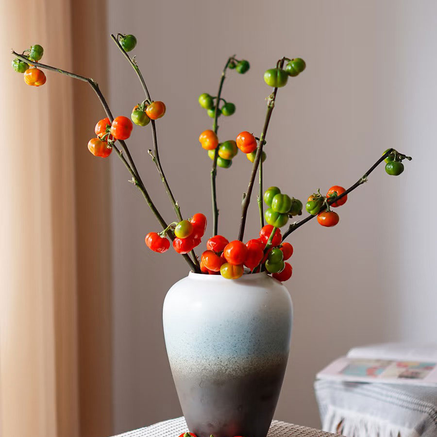 小南瓜鲜花小番茄鲜切枝水培插花