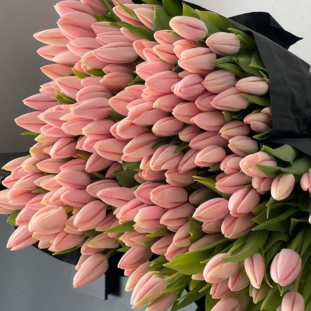 进口水蜜桃郁金香鲜花室内水养家用插花云南直发鲜切花婚庆手捧花