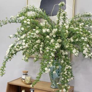 小手球鲜切花室内水培植物家用插花装饰云南基地直发绣线菊鲜花