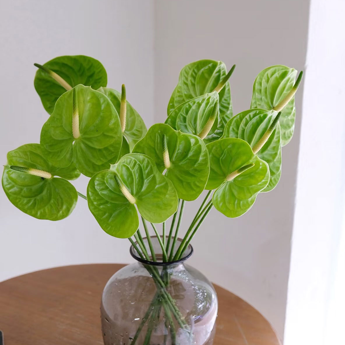 米多蕊绿掌鲜切枝水培植物家用插花婚庆花艺云南基地直发彩掌鲜花