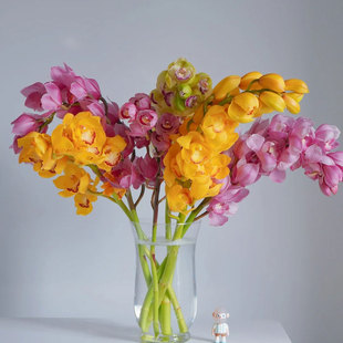 大花蕙兰鲜切花家用水培插花兰花婚庆云南基地直发惠兰顺丰包邮