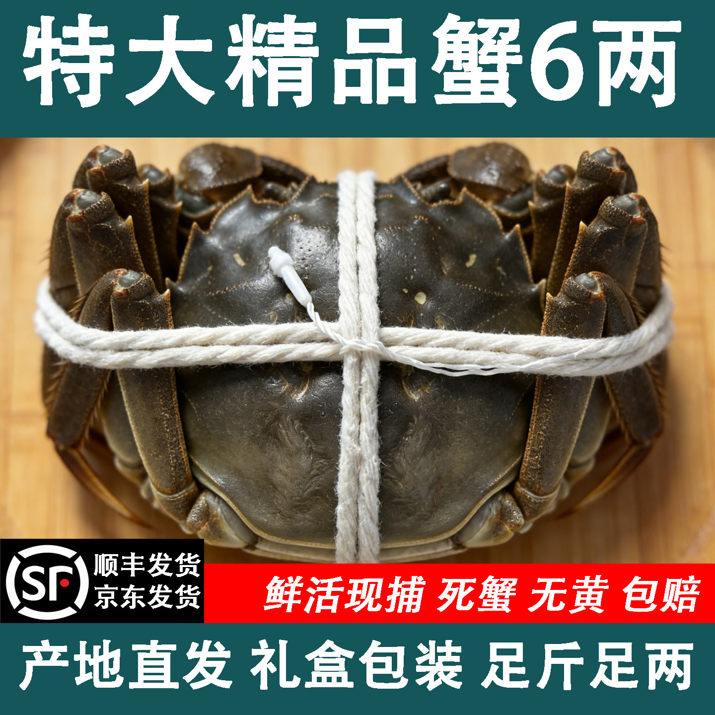 苏州鲜活特大母大闸蟹礼盒包装