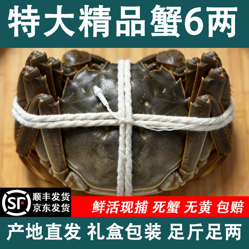 苏州鲜活特大母大闸蟹礼盒包装