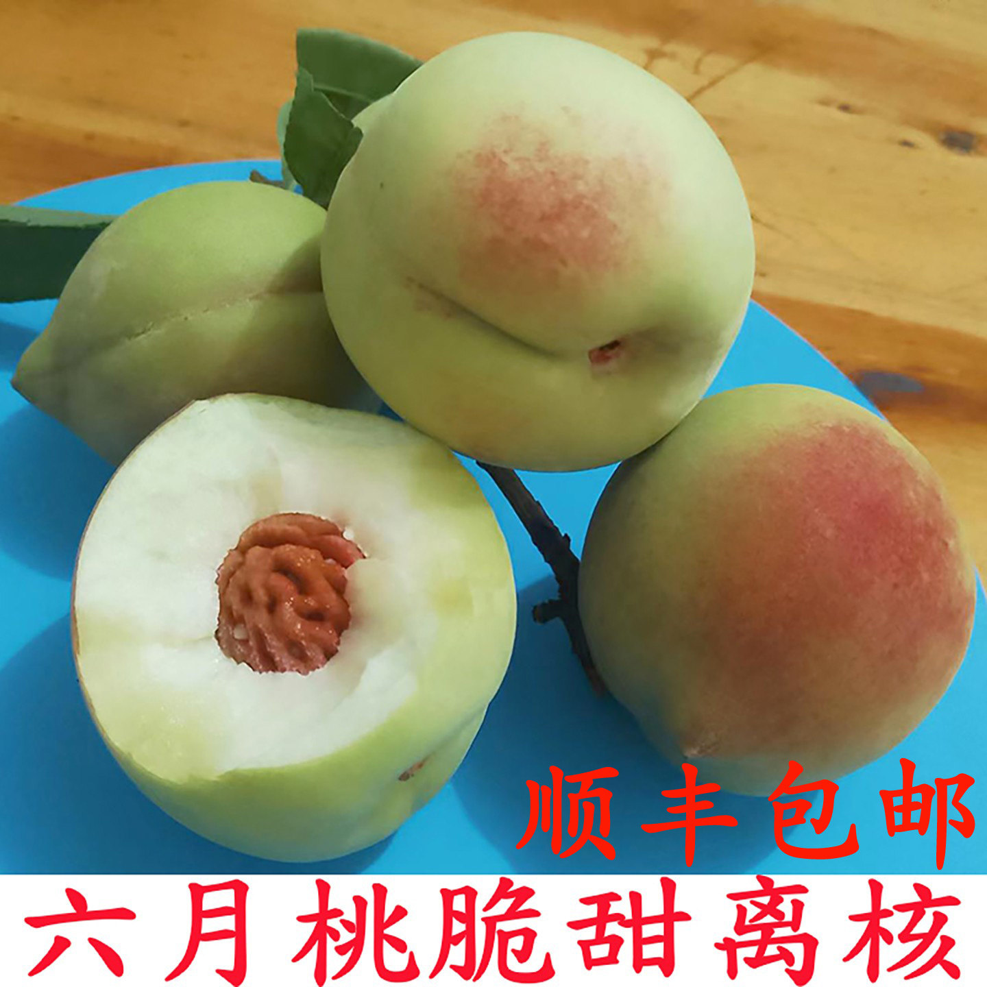 正宗白花桃老品种桃子六月脆桃
