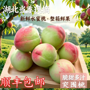 桃子新鲜水果脆桃毛桃当季应季整箱鲜果湖北脆甜现摘突围桃水蜜桃