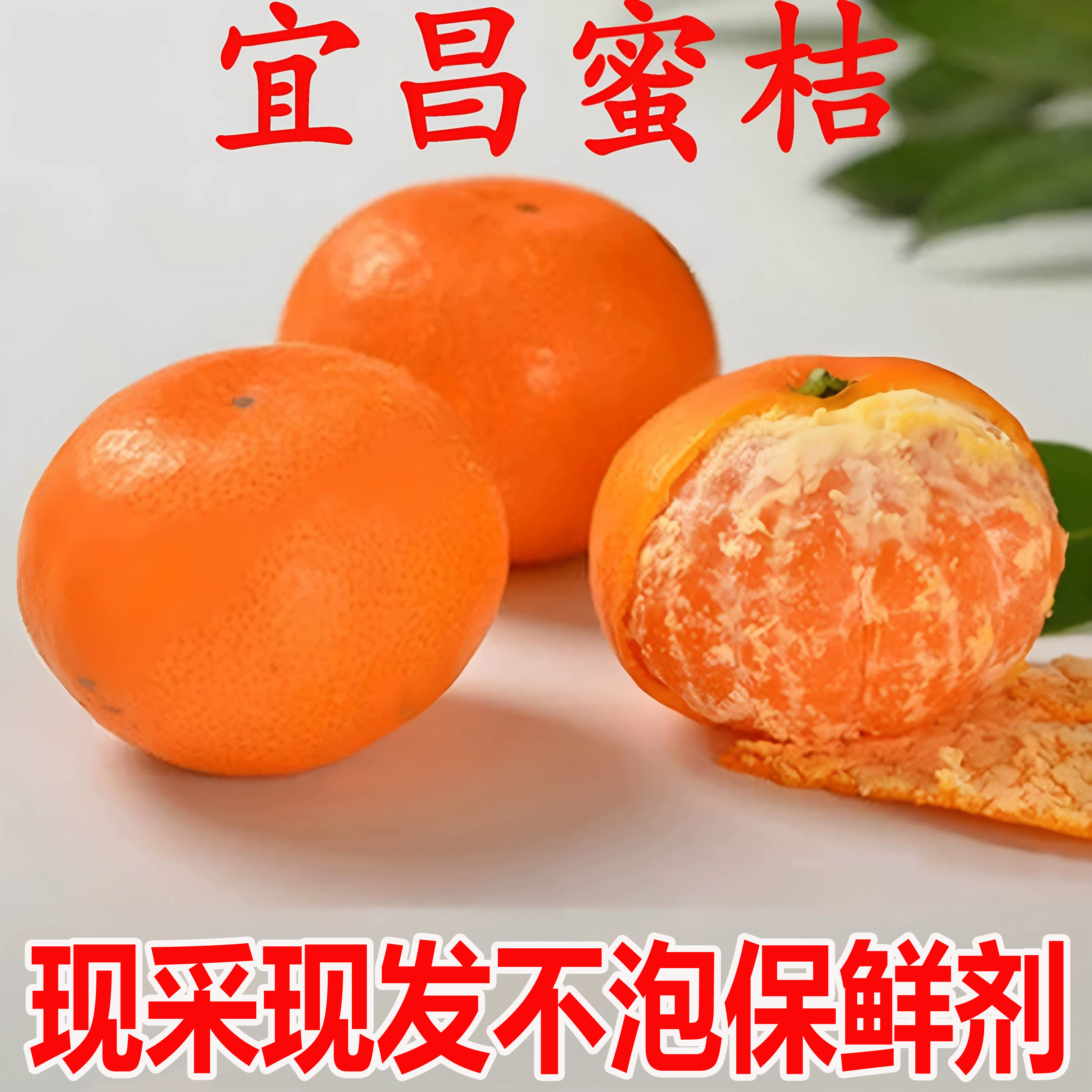 薄皮蜜橘新鲜无籽宜昌早熟蜜桔