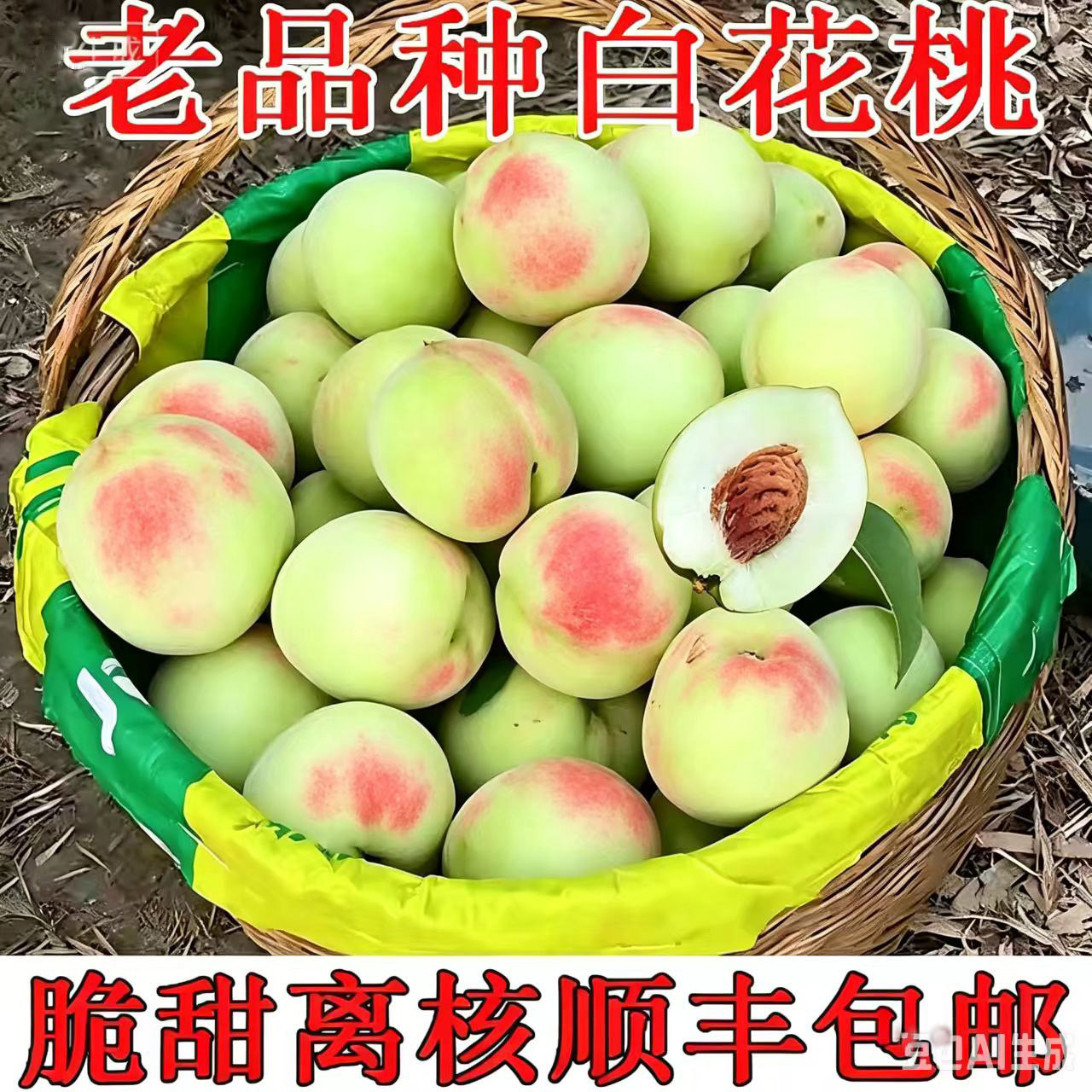 白花桃桃子新鲜水果百花桃脆甜