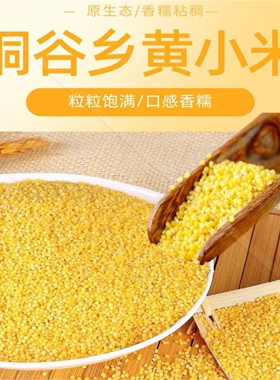 桐谷乡黄小米【绿色食品】黄河最后一道湾兰考特产老人小孩月子米