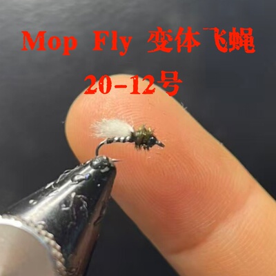 MopFly变体飞蝇超小号飞钓路亚饵
