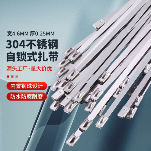 添翼不锈钢扎带304材质