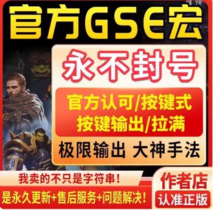 时光服一键宏GSE熊猫服周年正式服一键智能治疗输出宏