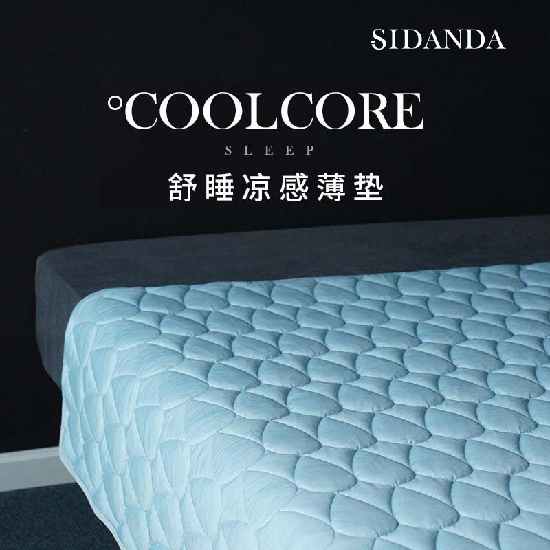 SIDANDA夏季凉感软垫可水洗席梦思凉席垫子薄款床垫冷感垫透气