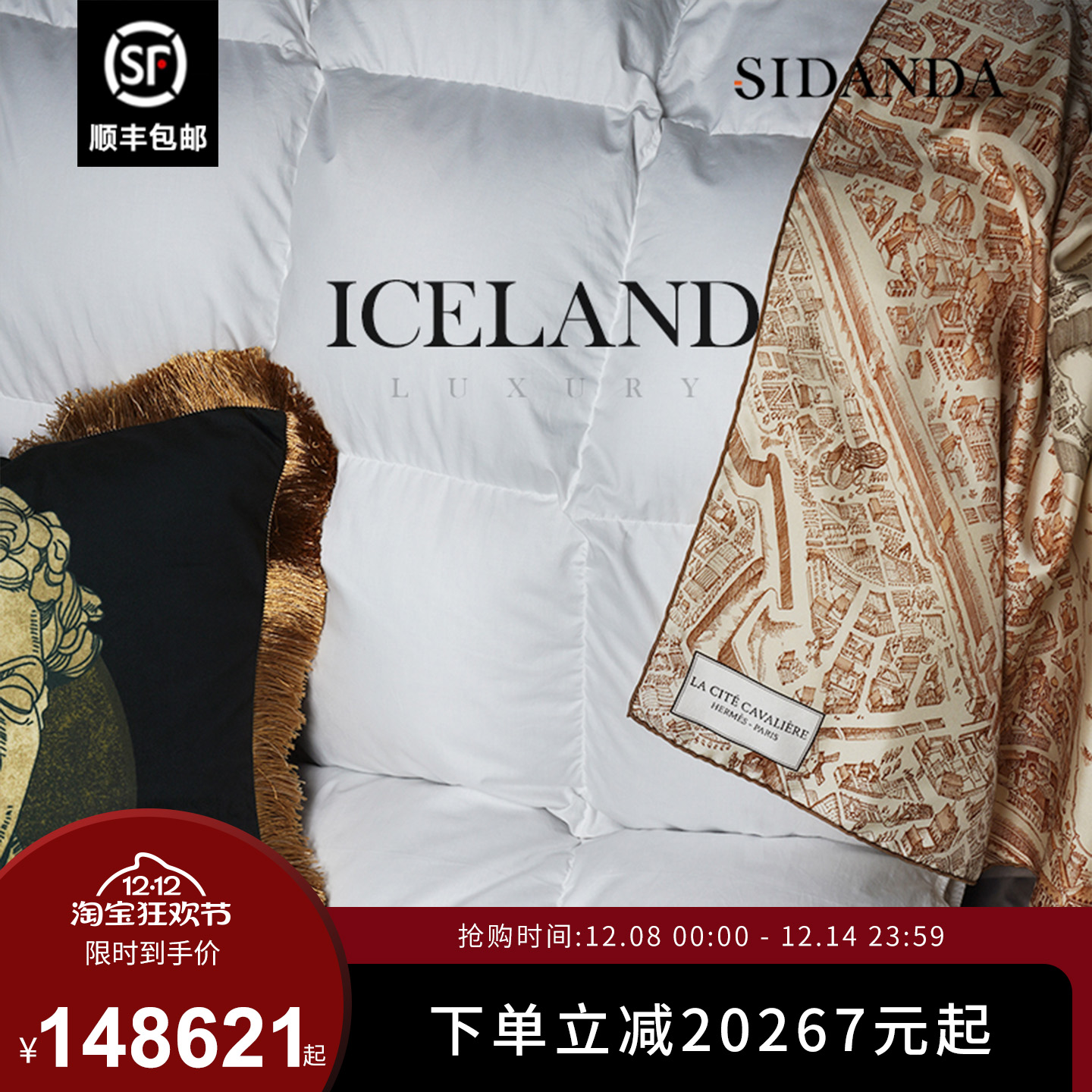 SIDANDA进口冰岛雁鸭绒被