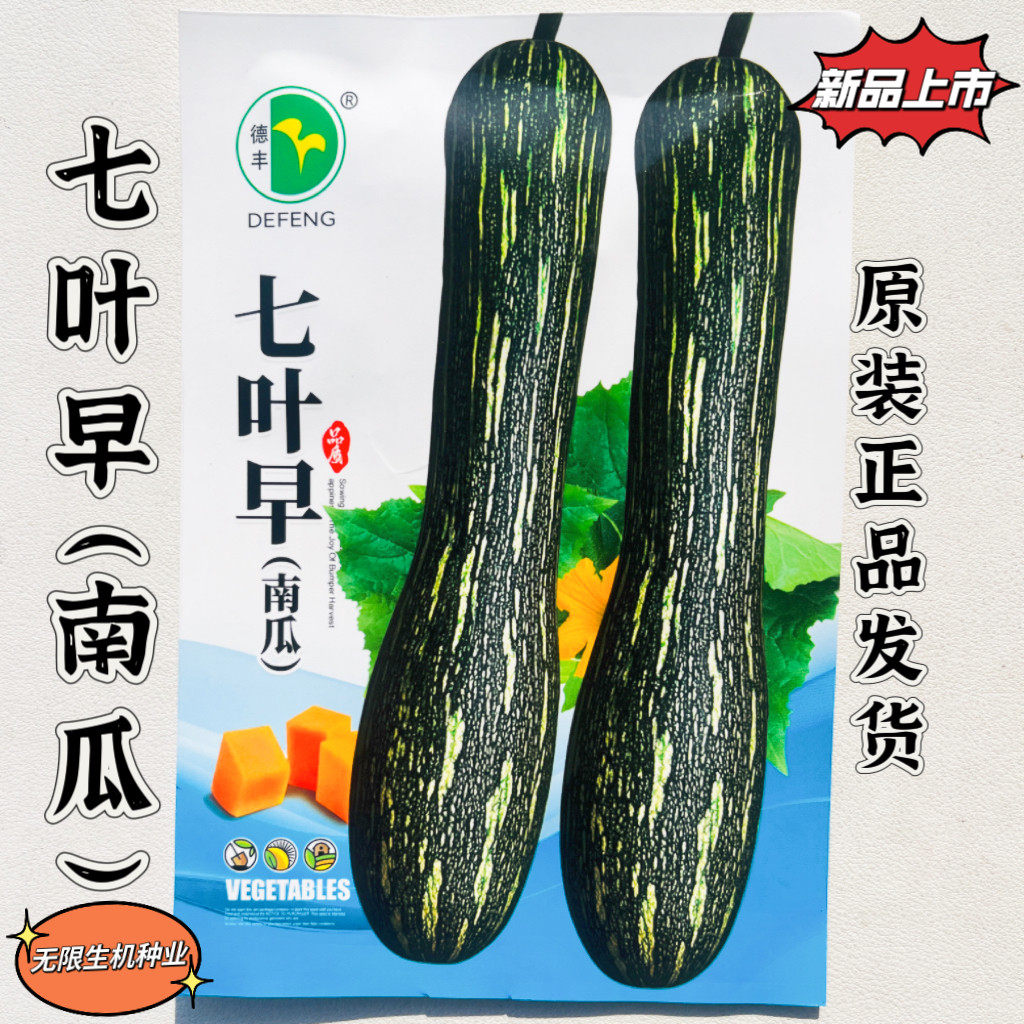 花皮七叶早熟南瓜种子嫩