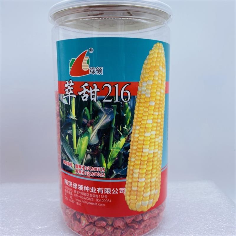 黄白糯玉米种子高产粮食玉米种孑水果玉米糯玉米种籽春秋大田种