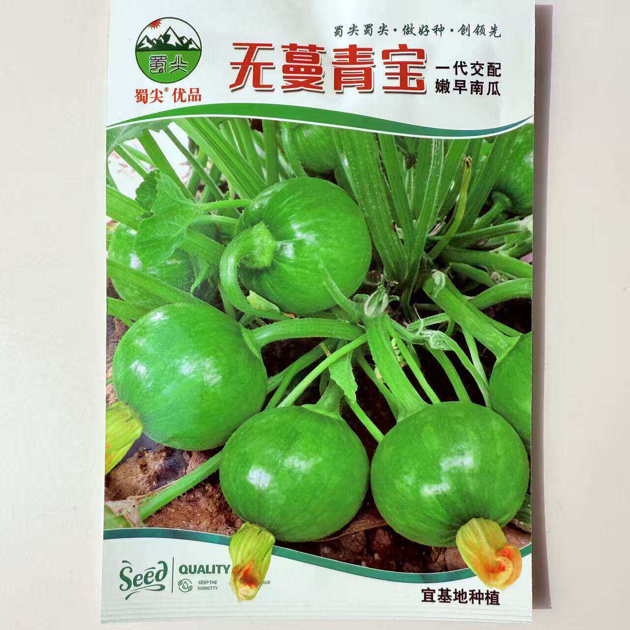 无蔓青宝新培育食用嫩瓜