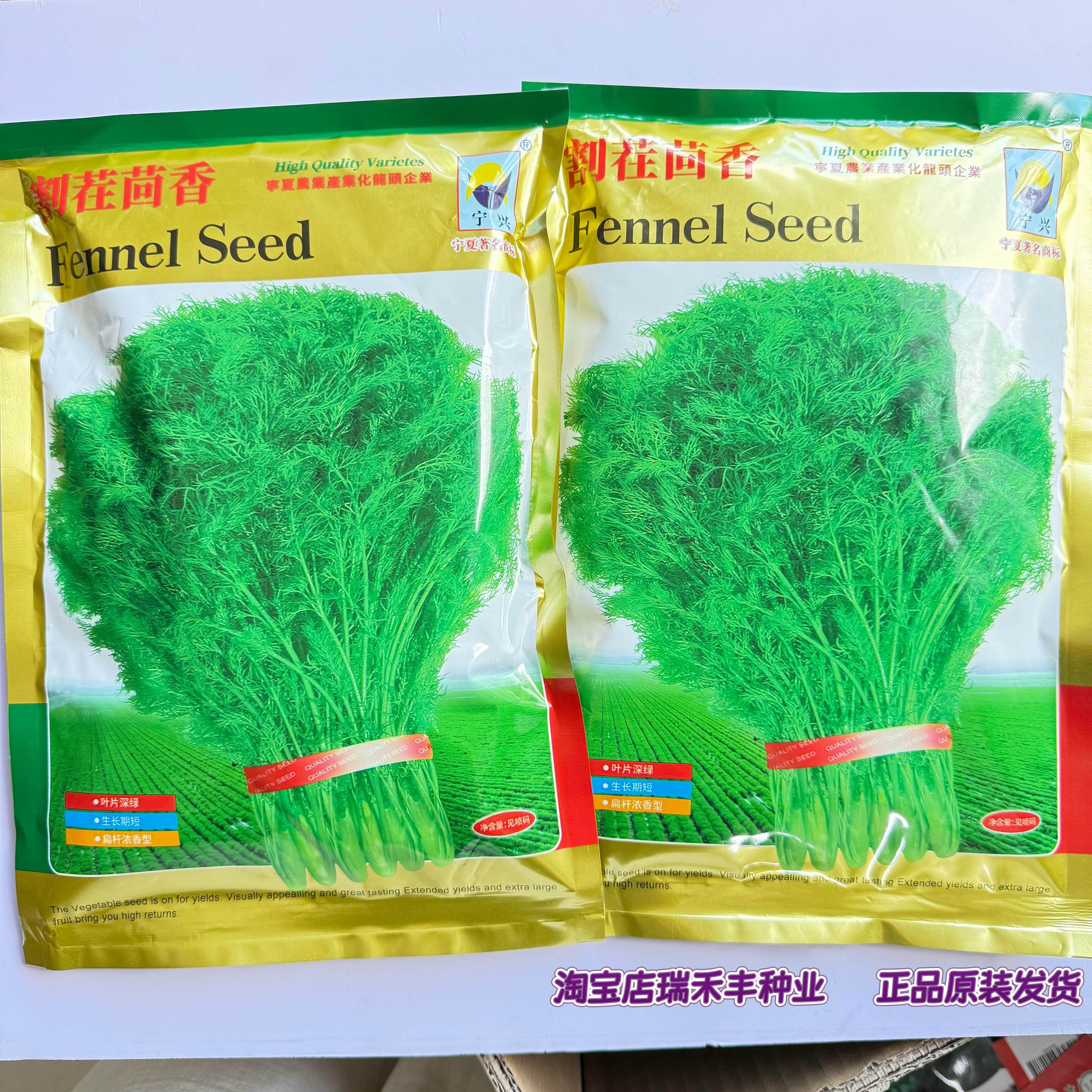 正品保证宁兴割茬茴香种