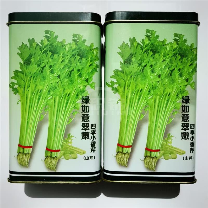 绿如意翠嫩四季小香芹种子四季蔬菜芹菜山芹种子四季蔬菜种芹菜籽