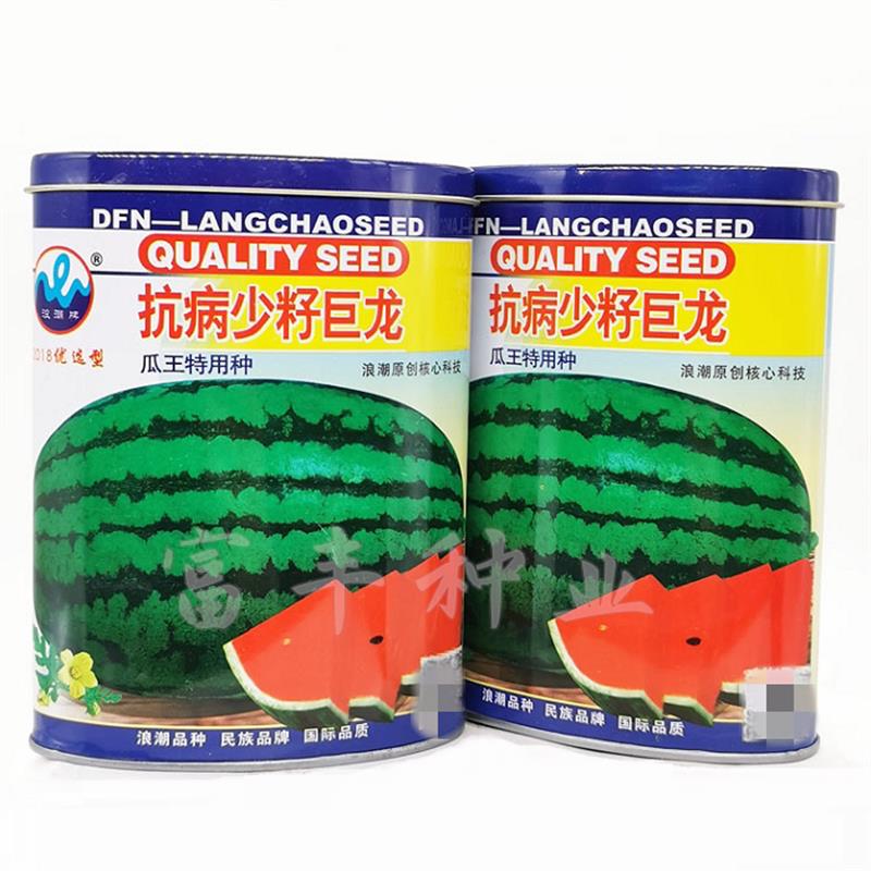 抗病少籽巨龙西瓜种子特大超甜花皮懒汉西瓜种孑超甜巨型瓜种子
