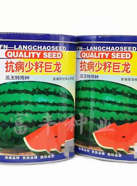 抗病少籽巨龙西瓜种子特大超甜花皮懒汉西瓜种孑超甜巨型瓜种子