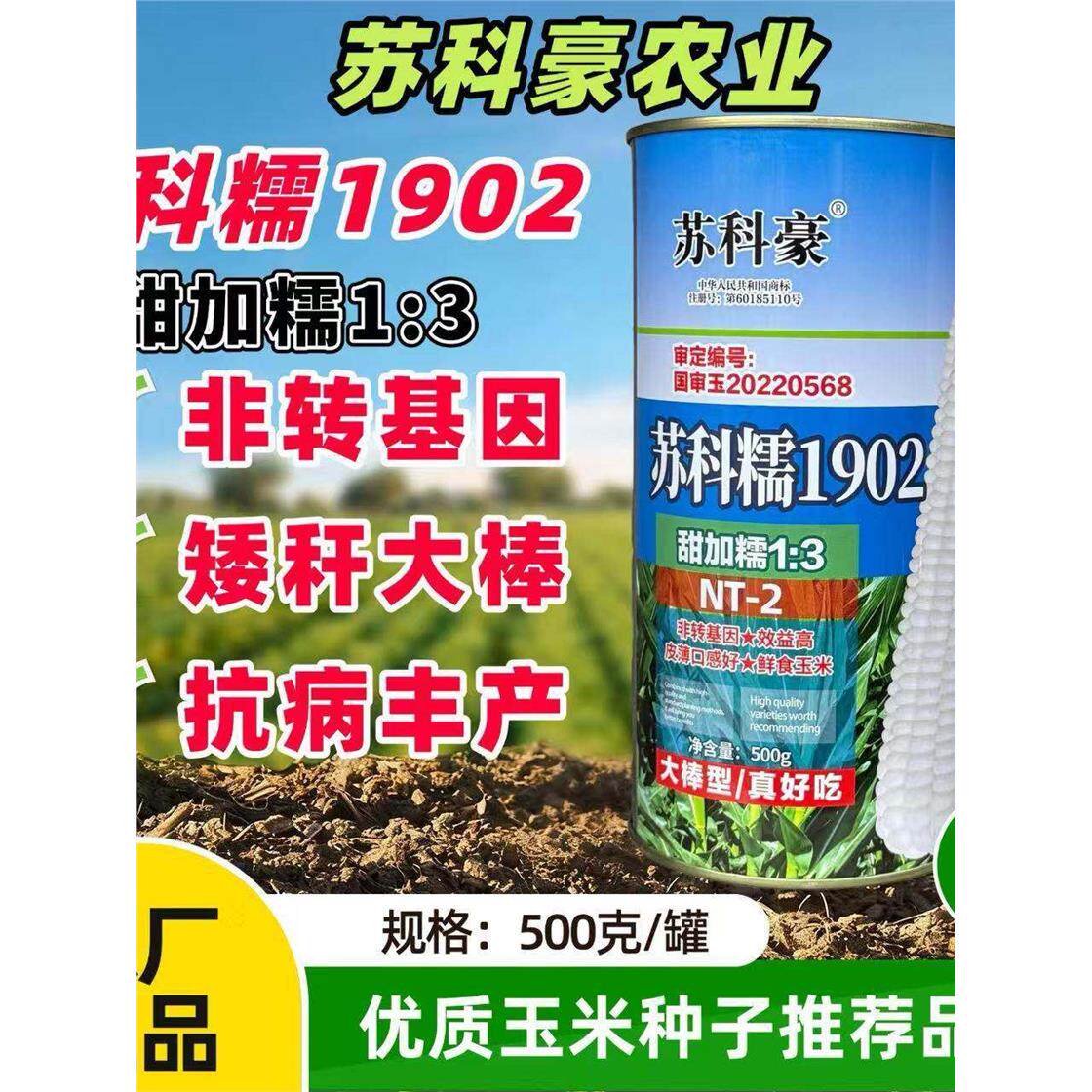 苏科糯1902鲜食玉米种子