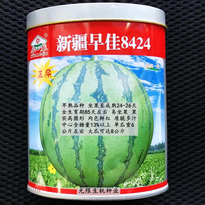 新疆早佳8424西瓜种子早